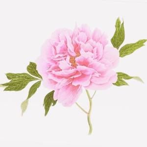 Meet your Posher, Mirna